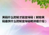 黃碼什么時(shí)候才能變綠碼（解除黃碼最快什么時(shí)候變綠碼呢詳細(xì)介紹）