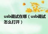 usb調試在哪（usb調試怎么打開）