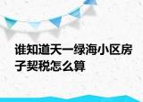 誰(shuí)知道天一綠海小區(qū)房子契稅怎么算