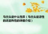 馬蘭頭是什么性質(zhì)（馬蘭頭是涼性的還是熱性的詳細(xì)介紹）