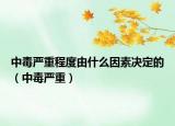 中毒嚴重程度由什么因素決定的（中毒嚴重）