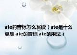 ate的音標(biāo)怎么寫讀（ate是什么意思 ate的音標(biāo) ate的用法）