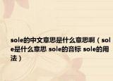 sole的中文意思是什么意思?。╯ole是什么意思 sole的音標(biāo) sole的用法）