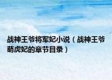 戰(zhàn)神王爺將軍妃小說（戰(zhàn)神王爺萌虎妃的章節(jié)目錄）