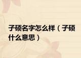 子碩名字怎么樣（子碩什么意思）