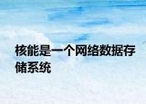 核能是一個網(wǎng)絡(luò)數(shù)據(jù)存儲系統(tǒng)