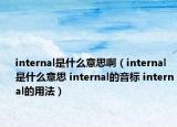 internal是什么意思啊（internal是什么意思 internal的音標(biāo) internal的用法）