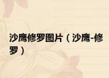 沙鷹修羅圖片（沙鷹-修羅）