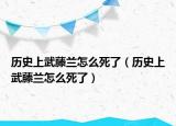 歷史上武藤蘭怎么死了（歷史上武藤蘭怎么死了）