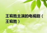 王宥勝主演的電視?。ㄍ蹂秳伲? /></span></a>
                        <h2><a href=