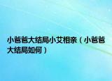 小爸爸大結(jié)局小艾相親（小爸爸大結(jié)局如何）
