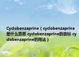 Cyclobenzaprine（cyclobenzaprine是什么意思 cyclobenzaprine的音標(biāo) cyclobenzaprine的用法）