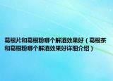 葛根片和葛根粉哪個(gè)解酒效果好（葛根茶和葛根粉哪個(gè)解酒效果好詳細(xì)介紹）