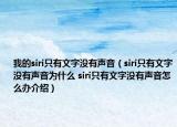 我的siri只有文字沒有聲音（siri只有文字沒有聲音為什么 siri只有文字沒有聲音怎么辦介紹）