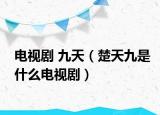 電視劇 九天（楚天九是什么電視?。? /></span></a>
                        <h2><a href=