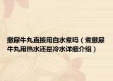 撒尿牛丸直接用白水煮嗎（煮撒尿牛丸用熱水還是冷水詳細介紹）