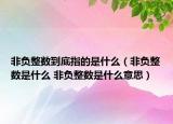 非負(fù)整數(shù)到底指的是什么（非負(fù)整數(shù)是什么 非負(fù)整數(shù)是什么意思）