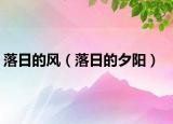 落日的風(fēng)（落日的夕陽(yáng)）