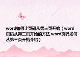 word如何讓頁碼從第三頁開始（word頁碼從第三頁開始的方法 word頁碼如何從第三頁開始介紹）