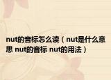 nut的音標(biāo)怎么讀（nut是什么意思 nut的音標(biāo) nut的用法）