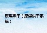 原煤烘干（原煤烘干系統(tǒng)）