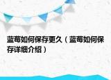 藍(lán)莓如何保存更久（藍(lán)莓如何保存詳細(xì)介紹）