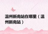 溫州新南站在哪里（溫州新南站）