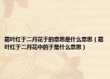 霜葉紅于二月花于的意思是什么意思（霜葉紅于二月花中的于是什么意思）