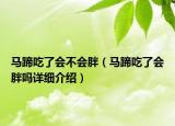 馬蹄吃了會(huì)不會(huì)胖（馬蹄吃了會(huì)胖嗎詳細(xì)介紹）