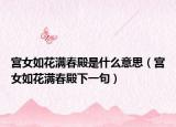 宮女如花滿春殿是什么意思（宮女如花滿春殿下一句）