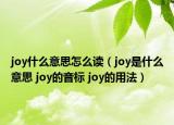 joy什么意思怎么讀（joy是什么意思 joy的音標 joy的用法）