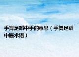 手舞足蹈中手的意思（手舞足蹈 中醫(yī)術(shù)語(yǔ)）