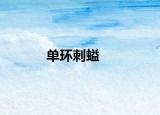 單環(huán)刺螠