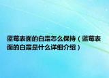藍(lán)莓表面的白霜怎么保持（藍(lán)莓表面的白霜是什么詳細(xì)介紹）