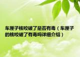 車厘子核咬破了是否有毒（車厘子的核咬破了有毒嗎詳細介紹）