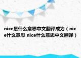 nice是什么意思中文翻譯成為（nice什么意思 nice什么意思中文翻譯）