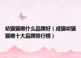 幼貓貓糧什么品牌好（成貓幼貓貓糧十大品牌排行榜）