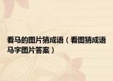 看馬的圖片猜成語（看圖猜成語馬字圖片答案）