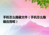 手機怎么隱藏文件（手機怎么隱藏應用呢）