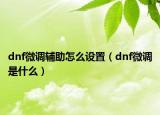 dnf微調輔助怎么設置（dnf微調是什么）