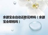 余額寶會(huì)自動(dòng)還款花唄嗎（余額寶會(huì)賠錢嗎）