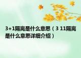 3+1隔離是什么意思（3 11隔離是什么意思詳細介紹）
