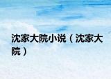 沈家大院小說（沈家大院）