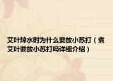 艾葉焯水時(shí)為什么要放小蘇打（煮艾葉要放小蘇打嗎詳細(xì)介紹）