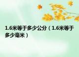 1.6米等于多少公分（1.6米等于多少毫米）