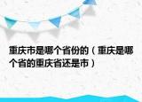 重慶市是哪個省份的（重慶是哪個省的重慶省還是市）