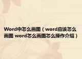 Word中怎么畫圖（word應(yīng)該怎么畫圖 word怎么畫圖怎么操作介紹）