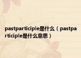 pastparticiple是什么（pastparticiple是什么意思）