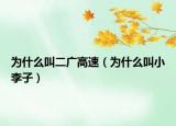 為什么叫二廣高速（為什么叫小李子）