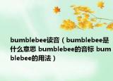 bumblebee讀音（bumblebee是什么意思 bumblebee的音標(biāo) bumblebee的用法）